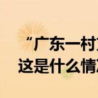“广东一村支书涉嫌殴打老人”？当地通报 这是什么情况？