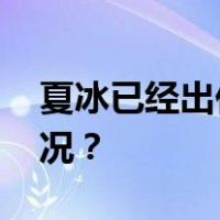 夏冰已经出任国家数据局副局长 这是什么情况？