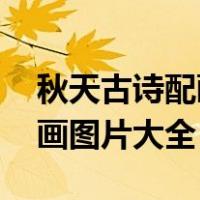秋天古诗配画图片大全 三年级（秋天古诗配画图片大全）