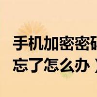 手机加密密码忘了怎么办解开（手机加密密码忘了怎么办）