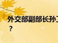 外交部副部长孙卫东抵朝访问 这是什么情况？