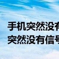 手机突然没有信号了是什么原因造成的（手机突然没有信号）