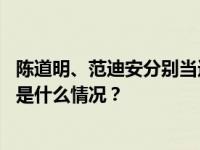 陈道明、范迪安分别当选新一届中国影协、中国美协主席 这是什么情况？