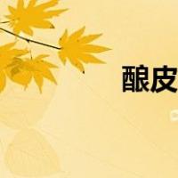 酿皮做法步骤（酿皮做法）