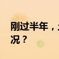 刚过半年，土耳其央行行长换人 这是什么情况？