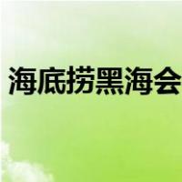 海底捞黑海会员要消费多少钱（海底捞黑海）