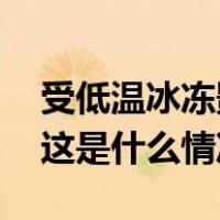 受低温冰冻影响，广东多条高速封闭或缓行 这是什么情况？