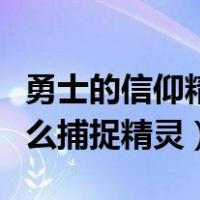 勇士的信仰精灵捕捉器怎么得（勇士的信仰怎么捕捉精灵）