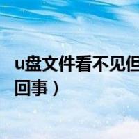 u盘文件看不见但是还占空间（u盘文件不显示却占空间怎样回事）