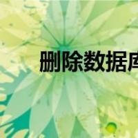 删除数据库表中的数据（删除数据库）