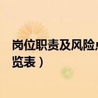 岗位职责及风险点防控情况（岗位职责风险点及防范措施一览表）