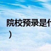 院校预录是什么意思啊（院校预录是甚么意思）