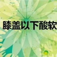 膝盖以下酸软无力发麻（膝盖以下酸软无力）