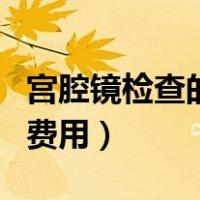 宫腔镜检查的费用大约是多少（宫腔镜检查的费用）