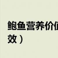 鲍鱼营养价值及功效作用（鲍鱼营养价值及功效）