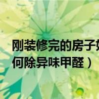 刚装修完的房子如何除异味甲醛最有效（刚装修完的房子如何除异味甲醛）