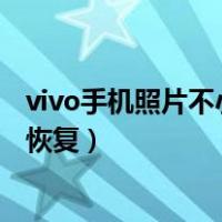 vivo手机照片不小心删了怎么恢复正常（vivo照片误删怎么恢复）