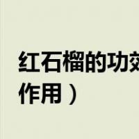 红石榴的功效与作用及禁忌（红石榴的功效与作用）