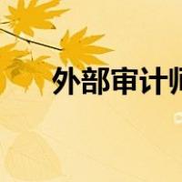 外部审计师选聘管理办法（外部审计）