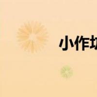 小作坊证怎么办理（小作坊）