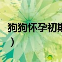 狗狗怀孕初期症状有哪些（狗狗怀孕初期症状）