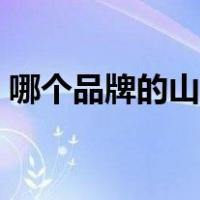 哪个品牌的山茶油最好（山茶油哪个牌子好）
