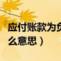 应付账款为负数表示什么（应付账款是负数什么意思）