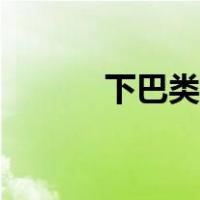 下巴类型图片大全（下巴类型）