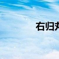 右归丸价格表（右归丸价格）