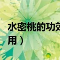 水密桃的功效与作用图片（水密桃的功效与作用）