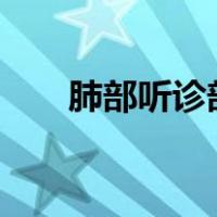 肺部听诊部位6个示意图（肺部听诊）
