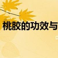 桃胶的功效与作用点（桃胶的功效与副作用）