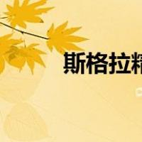 斯格拉精灵的拼音（斯格拉精灵）