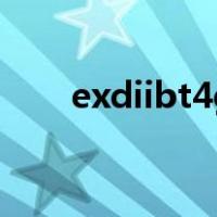 exdiibt4gb是什么意思（exdiibt4）