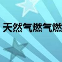 天然气燃气燃烧机（天然气燃烧机工作原理）