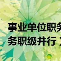 事业单位职务职级并行实施细则（事业单位职务职级并行）