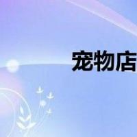 宠物店vi设计手册（cwdv 27）