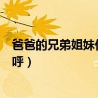 爸爸的兄弟姐妹们叫什么（爸爸的兄弟姐妹及其配偶怎样称呼）