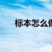 标本怎么做简单又漂亮（标本怎么做）