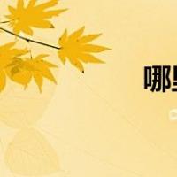 哪里可以找到便民信息