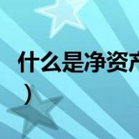 什么是净资产总额和净值（什么是净资产总额）