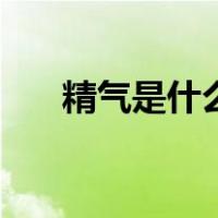 精气是什么意思（精气神是什么意思）