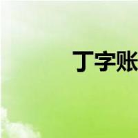 丁字账户科目汇总表（丁字账）