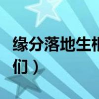 缘分落地生根是我们歌词（缘分落地生根是我们）