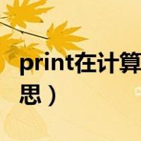 print在计算机编程中的含义（print是什么意思）