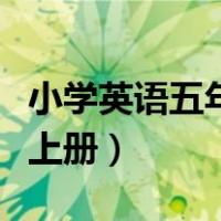 小学英语五年级上册人教版（小学英语五年级上册）