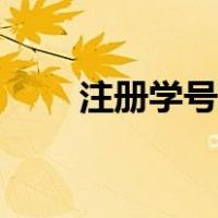 注册学号哪里查（注册学号怎么查）