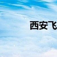西安飞机票特价（飞机票特价）