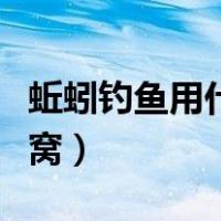 蚯蚓钓鱼用什么打窝冬天（蚯蚓钓鱼用什么打窝）
