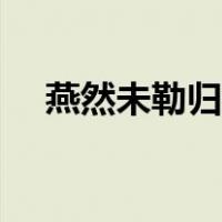 燕然未勒归无计全诗（燕然未勒归无计）